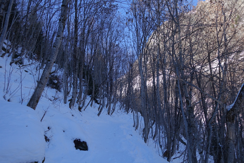 DSC04072