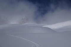  trace...