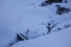  le petit pont
