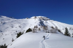  on rejoint la combe du Lauzon