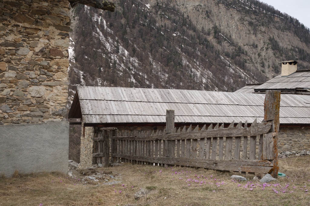 DSC06605