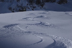  mes traces