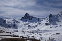  Tête des Toilies