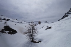  bonne descente