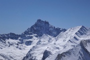  Viso