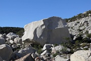 IMG_6597