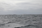  traversée vers l'ile d'Inishbofin