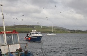  retour à Cleggan