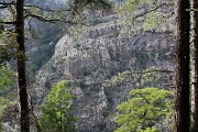  Vers Aitone, près du Col de Verghio