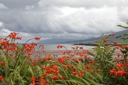  baie de Cloghan