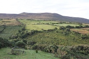  la campagne près de Dingle