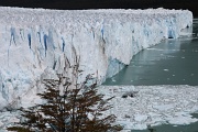  le glacier de Périto Moreno - branche nord