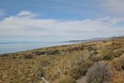  de retour sur El Calafate