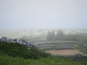  paysage de brume