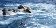  lolo dans le bouillon