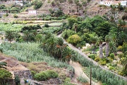  en remontant le barranco de Vallehermoso