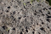  granite avec gros cristaux
