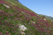  descente dans la vallée de Dupeduzu