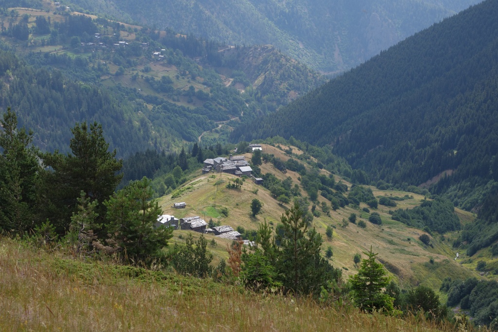 DSC01329