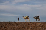  départ de la caravane