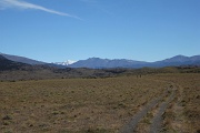 IMG_6336